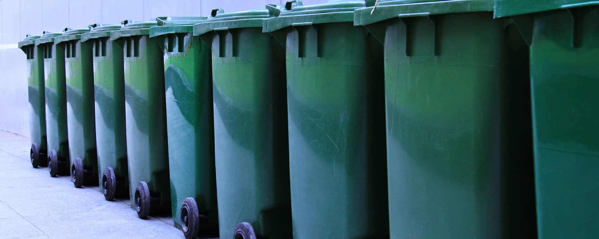 Row of domestic waste bins